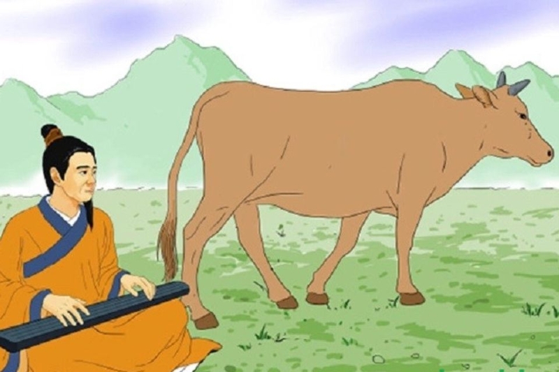 Đàn gảy tai trâu là gì (ảnh 3)