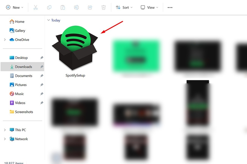 Đăng ký Spotify (hình 20)