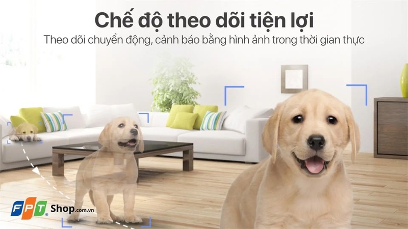 đánh giá camera giám sát IP 1080p EZVIZ CS-C6N 2