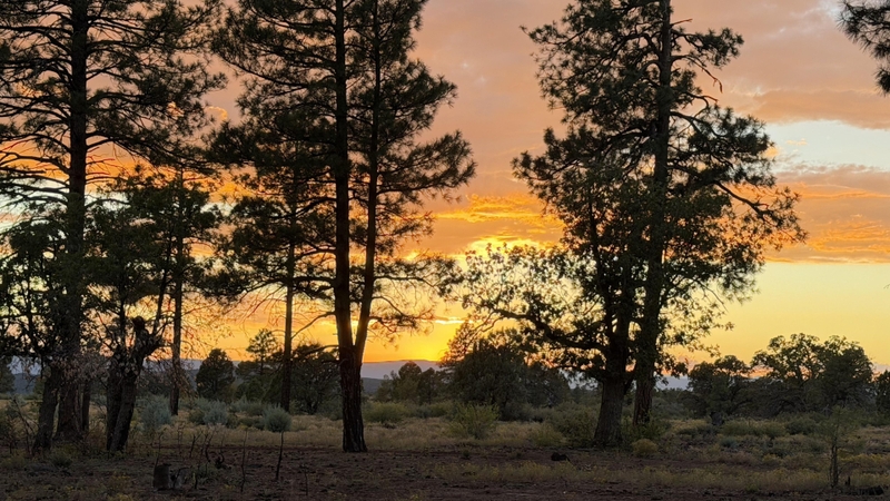Ảnh chụp trong môi trường ánh sáng yếu