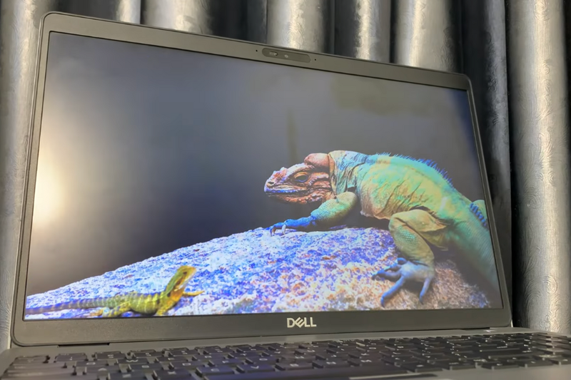 Đánh giá Dell Latitude 5511 (3)