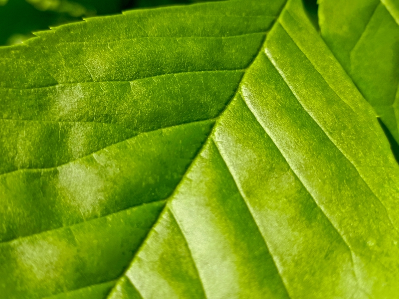 Đánh giá Infinix Note 30 10