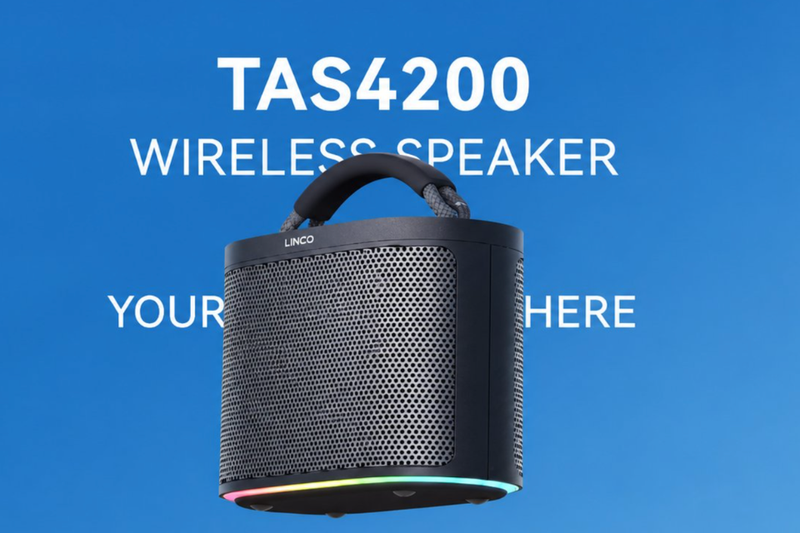 Đánh giá loa Philips TAS 4200 (6)