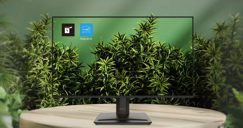 Đánh giá màn hình MSI PRO MP251 E2 8