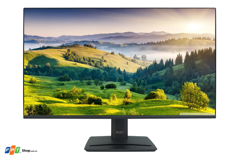 Đánh giá màn hình MSI PRO MP251 E2 1