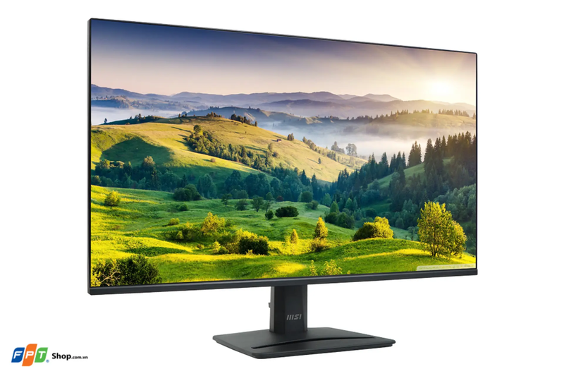 Đánh giá màn hình MSI PRO MP251 E2 11