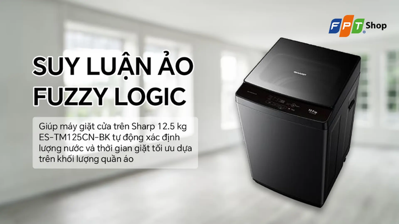 Đánh giá máy giặt Sharp 12.5kg ES-TM125CN-BK 4