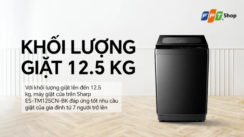 Đánh giá máy giặt Sharp 12.5kg ES-TM125CN-BK 5