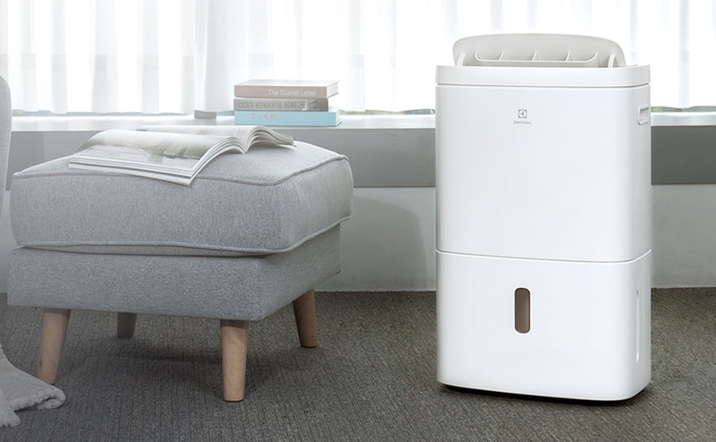 Đánh giá máy hút ẩm EDH10TRBW1 5