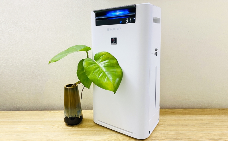 Đánh giá máy lọc không khí Sharp ảnh 3