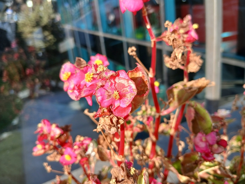 Đánh giá Samsung Galaxy A16 12