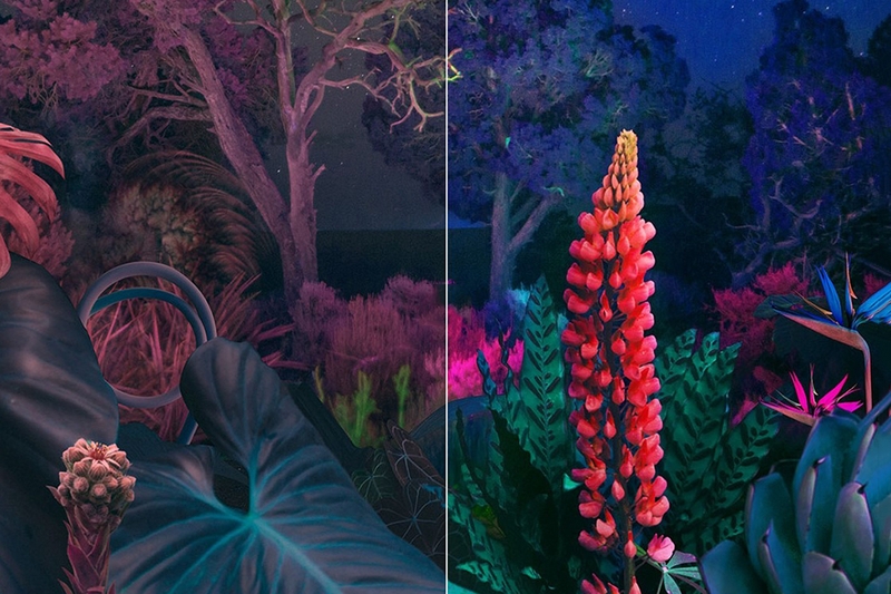 cong nghe hinh anh tivi 55bu8000