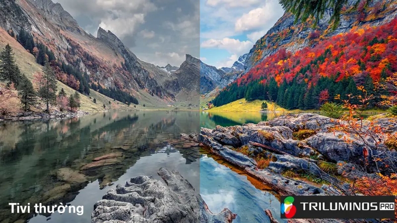 tivi 65x80l hinh anh sac net