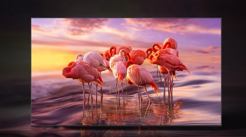 cong nghe hinh anh tivi 75q60b