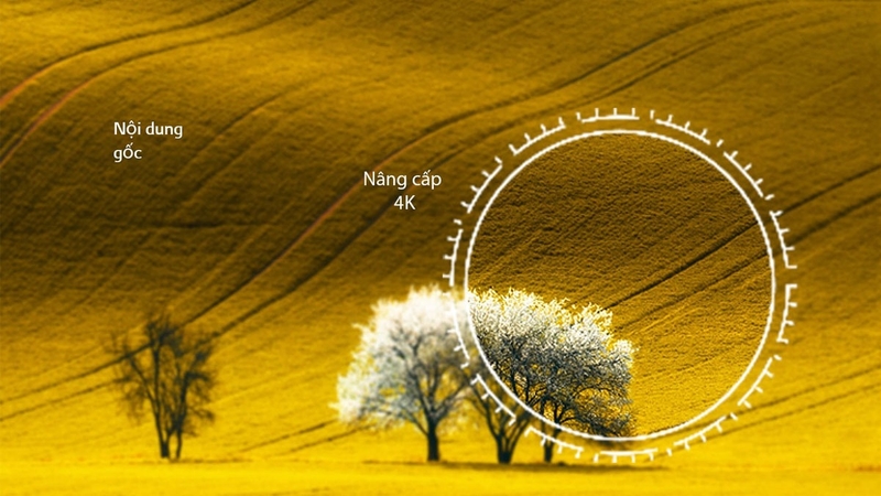 Đánh giá tivi LG 65UR7550 3