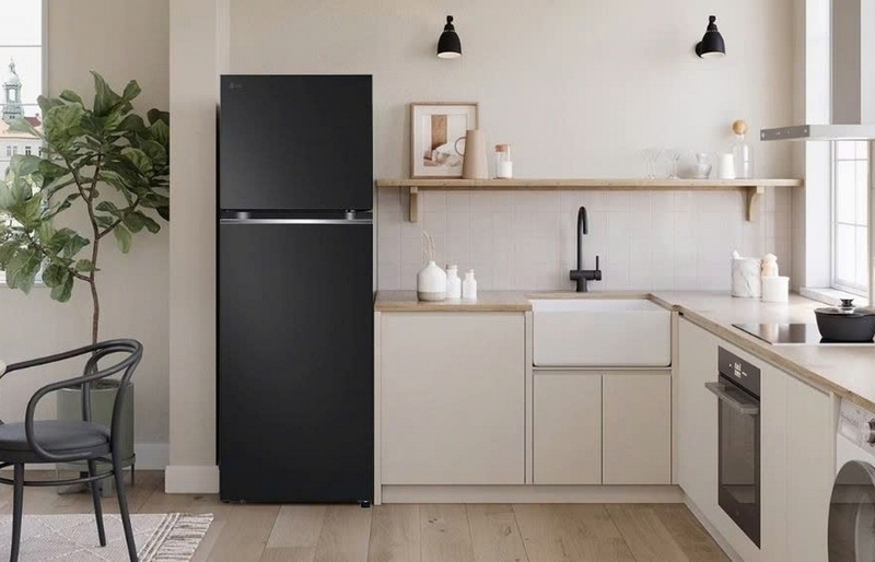 đánh giá tủ lạnh b212wb ảnh 3