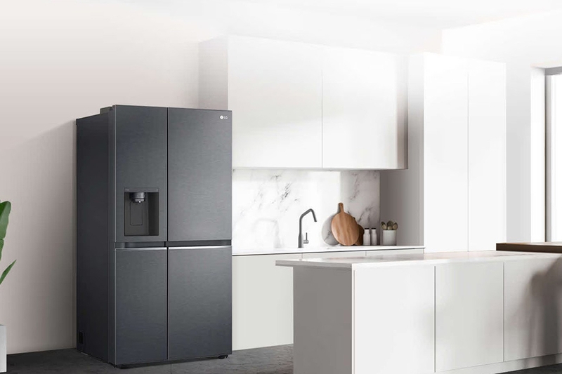 Đánh giá tủ lạnh LG D257WB 5
