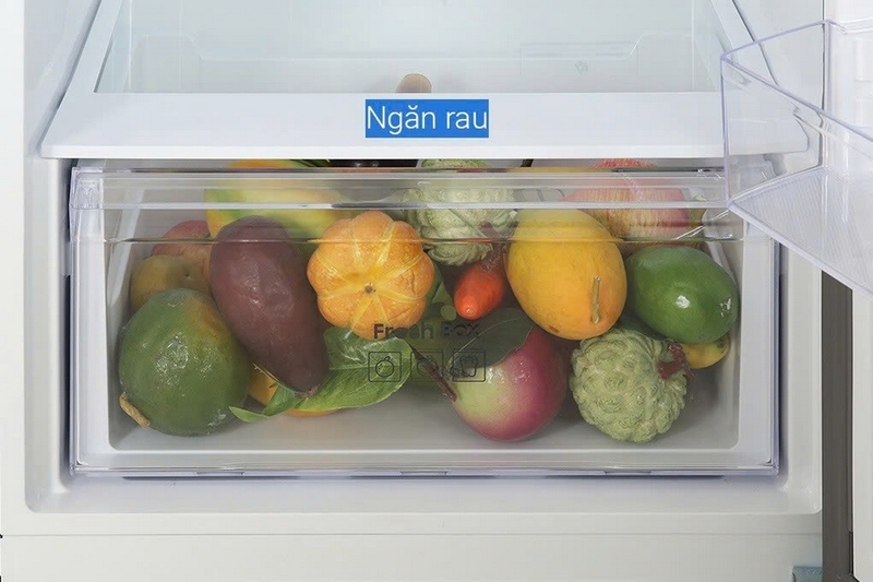 đánh giá tủ lạnh rt31cg5424b1sv ảnh 6
