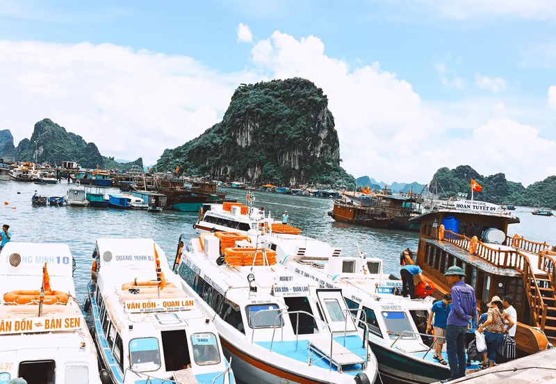 Đảo Cô Tô ở đâu 4