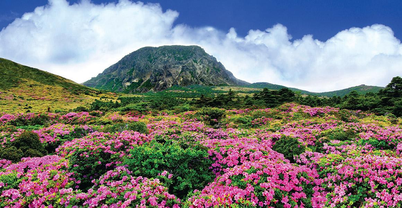 Đảo Jeju thuộc quốc gia nào 9