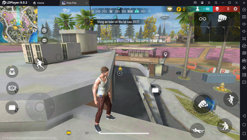 đảo thế kỷ ảnh 10