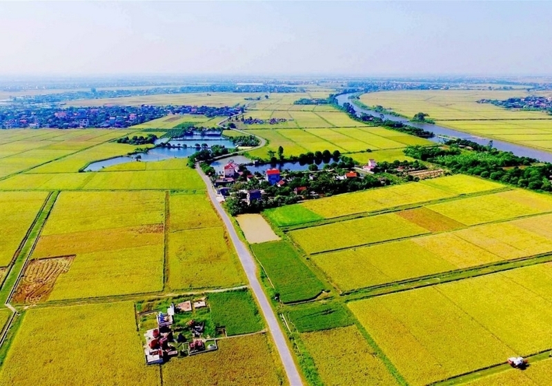 đất 03 là gì ảnh 1