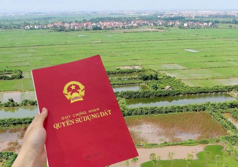 đất 03 là gì ảnh 2