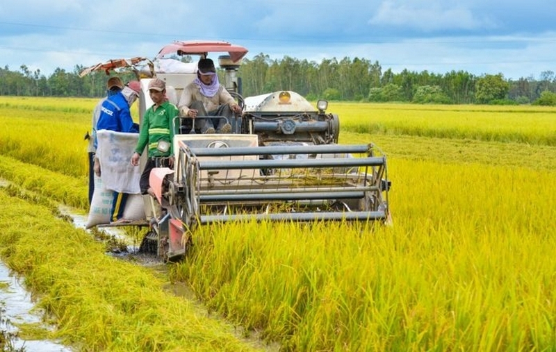 đất 03 là gì ảnh 3