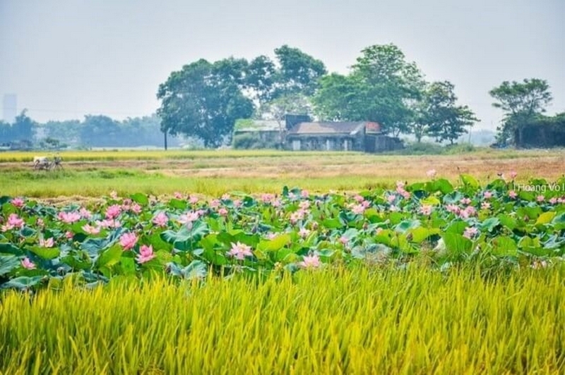 đất 03 là gì ảnh 4