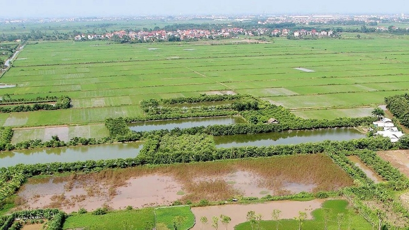 Theo nguyên tắc, người dân không được phép xây dựng nhà ở trên đất BHK