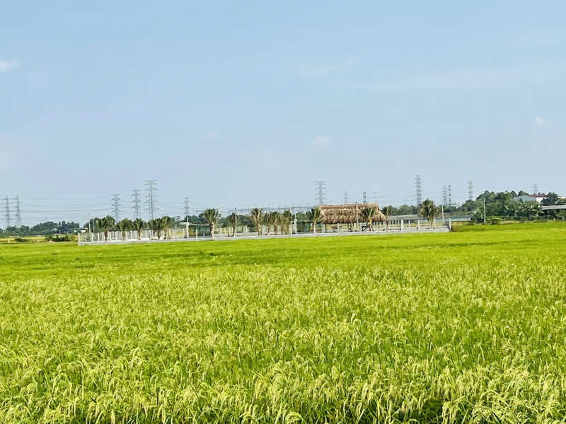 Đất nông nghiệp là gì?