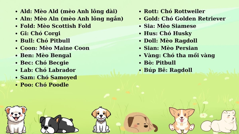 dat-ten-cho-cho-meo-f.jpg