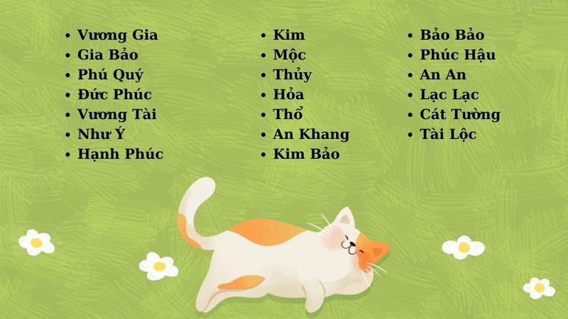 dat-ten-cho-cho-meo-g.jpg