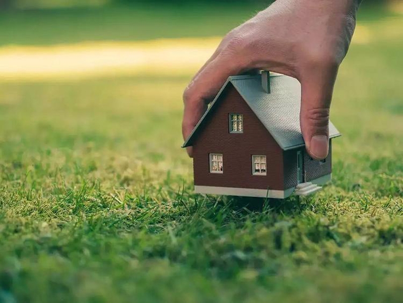 Đất trồng cây lâu năm có được xây nhà không - 06