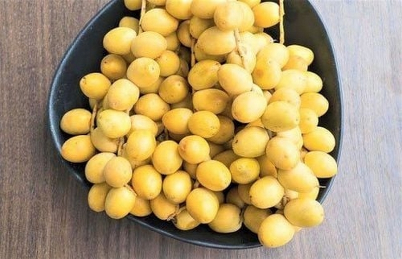 dates là quả gì ảnh 3