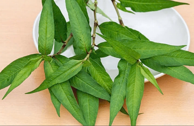 đậu hũ hấp ảnh 7