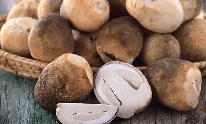 đậu hũ kho nấm rơm, cà chua ảnh 1