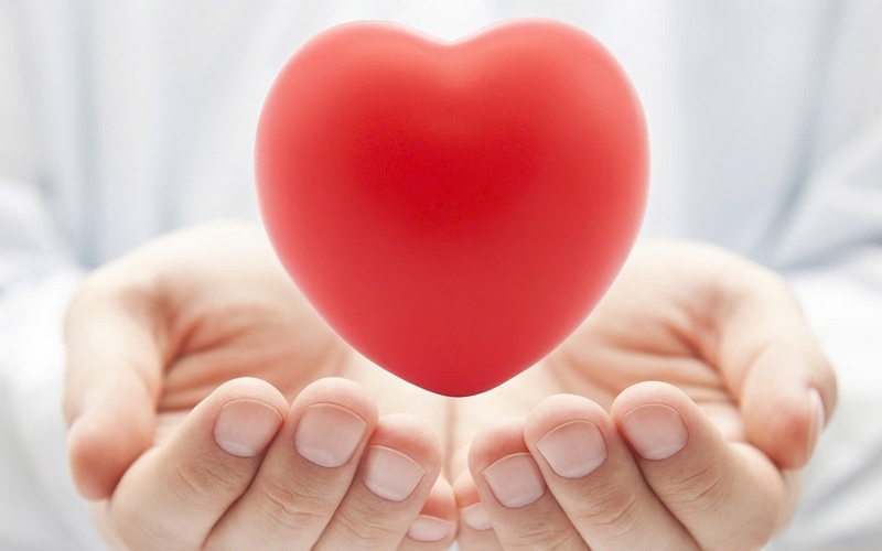 đậu lăng đỏ ảnh 3