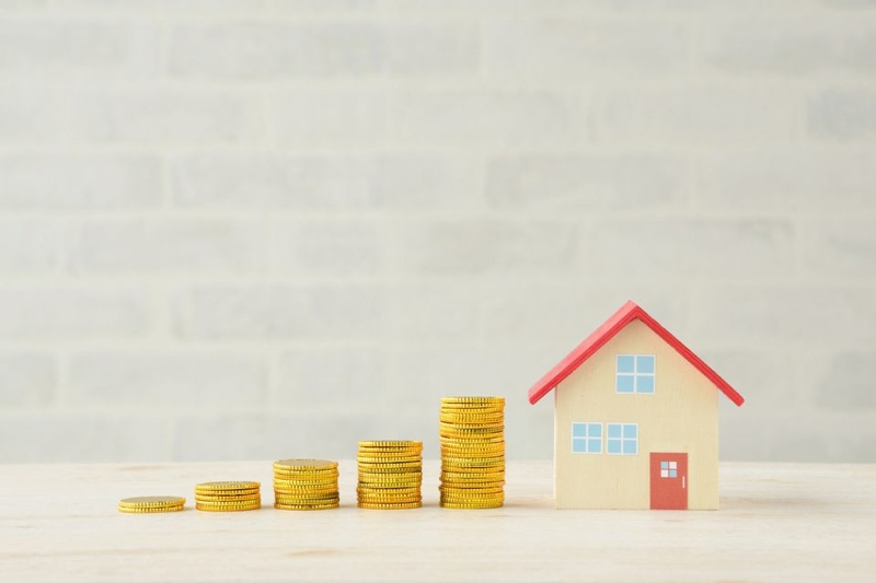 Đầu năm 2026 nên làm gì (ảnh 5)