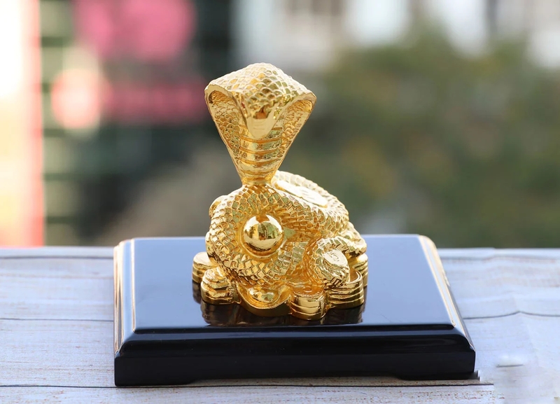 Đầu năm tặng bạc có sao không (ảnh 4)