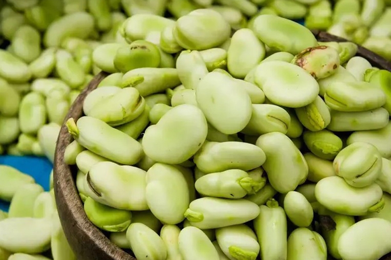 đậu răng ngựa 11