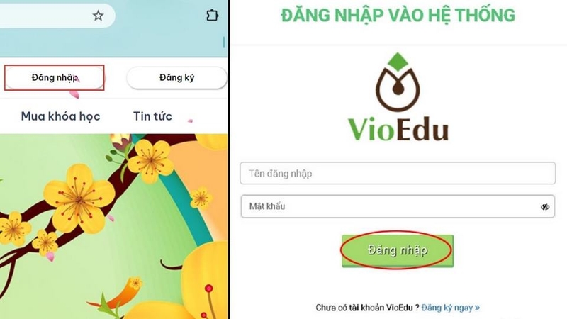 Hướng dẫn tham gia đấu trường toán học VioEdu
