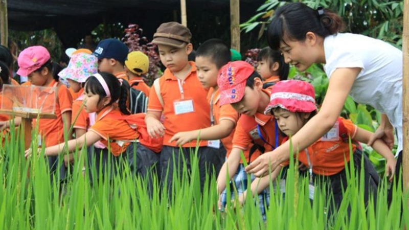 Điểm khác biệt giữa dạy học truyền thống và dạy học trải nghiệm là gì?