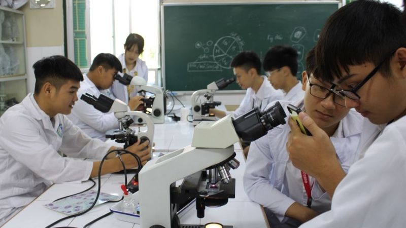 Học qua dự án