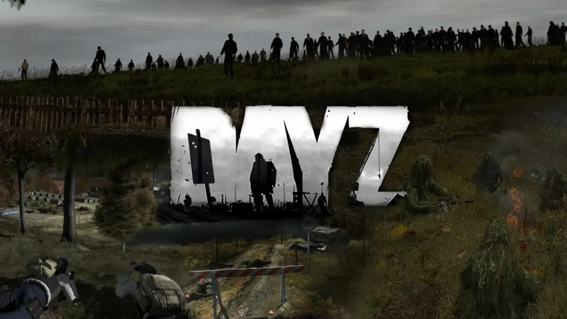 DayZ map