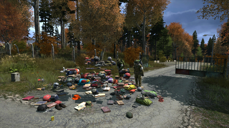 DayZ map