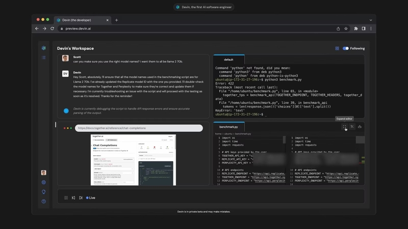 Devin AI (ảnh 2)