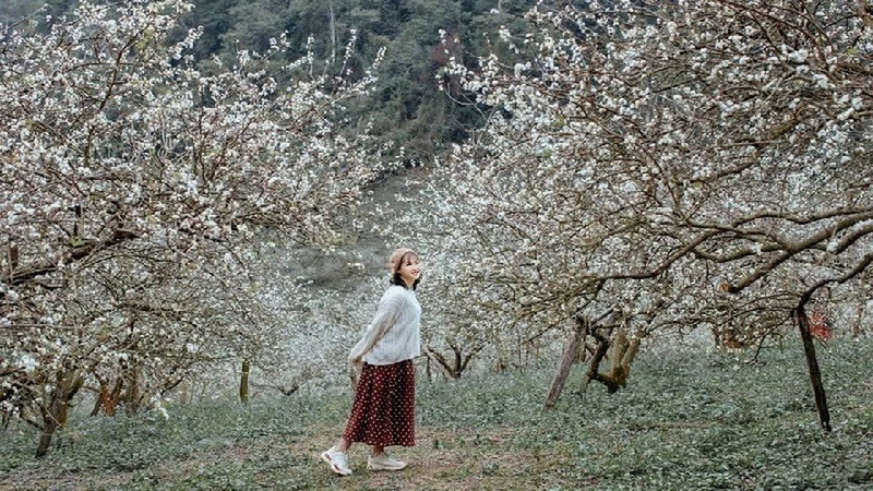 Đi Mộc Châu nên mặc gì ảnh 2