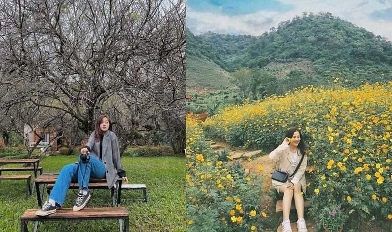 Đi Mộc Châu nên mặc gì ảnh 4