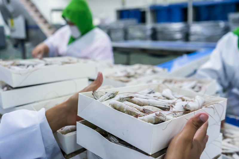 Sản xuất và chế biến